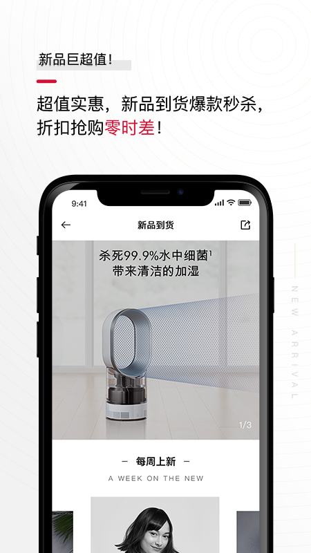 花貓?jiān)粕探貓D預(yù)覽