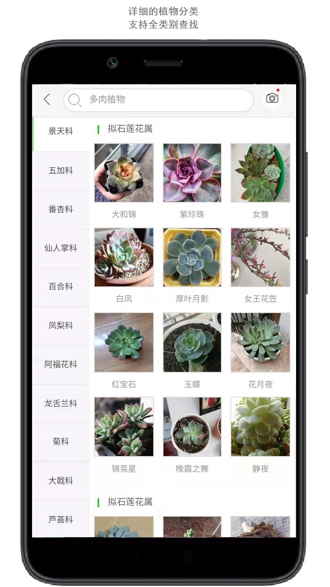 植物识别神器app下载2022 植物识别app有哪些_豌豆荚