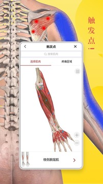 3Dbody解剖截圖