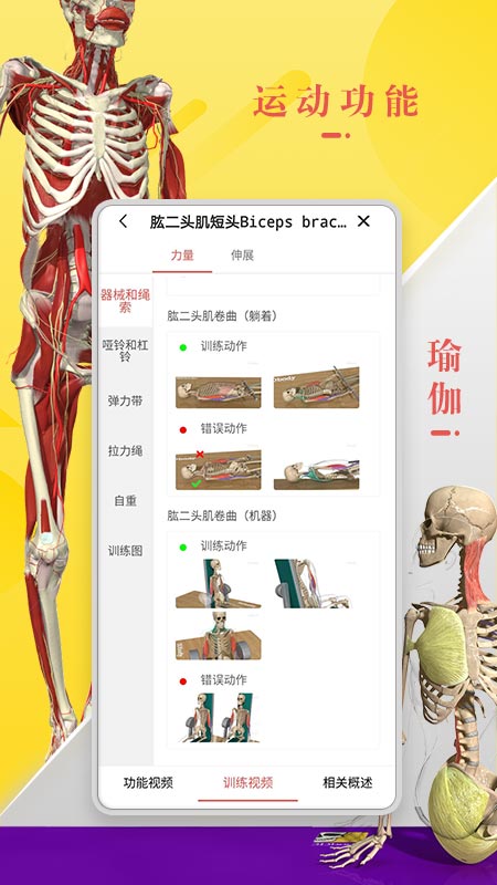 3Dbody解剖截圖預(yù)覽