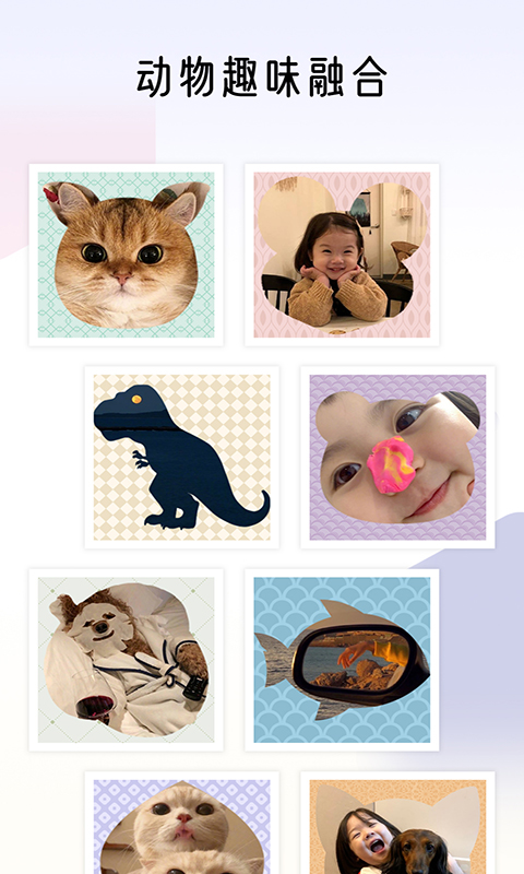 拼秀秀截圖預覽