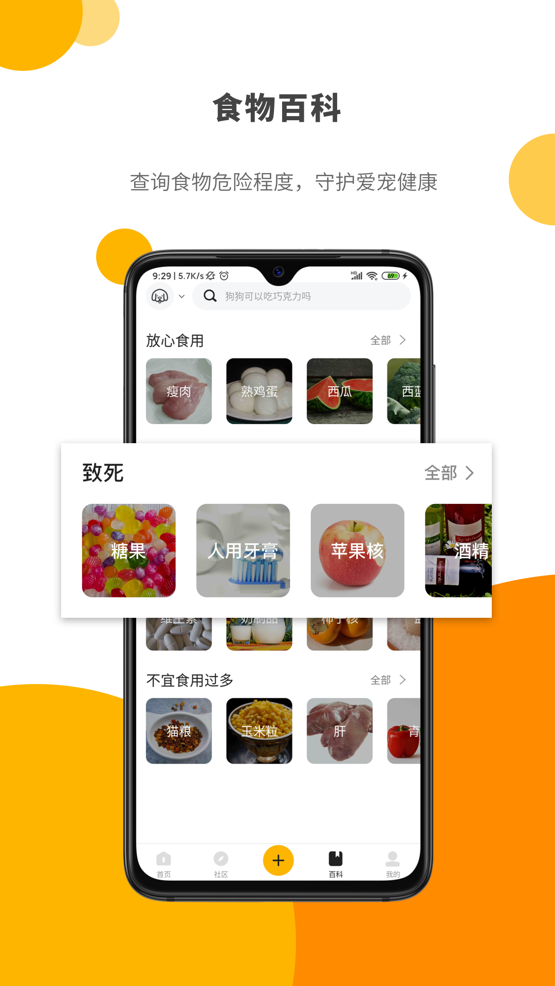 Paw Lab截图4