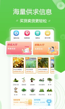 苗木通截圖