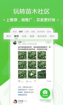 苗木通截圖