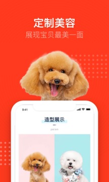 寵物家截圖