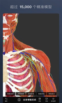 维萨里3d解剖下载 维萨里3d解剖手机版21官方下载 最新维萨里3d解剖app下载安装