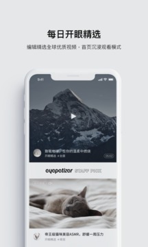 開眼截圖