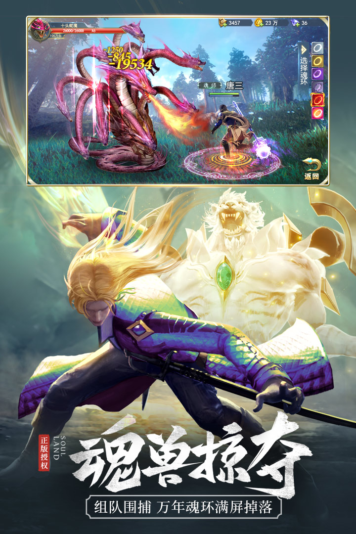 斗羅大陸截圖預(yù)覽