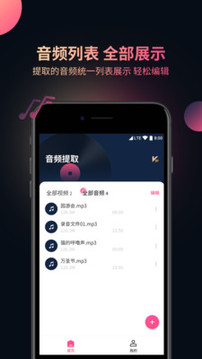 視頻音頻提取器截圖