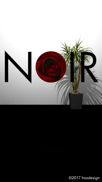 EscapeGame"NOIR"截图2