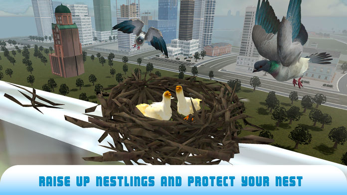 PigeonBirdSurvivalSimulator3D2Full截图3