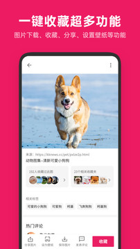 圖片搜搜截圖