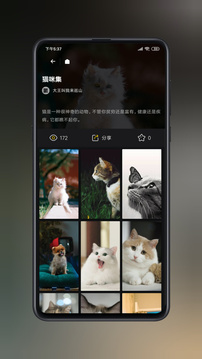 紙?zhí)帘诩埥貓D