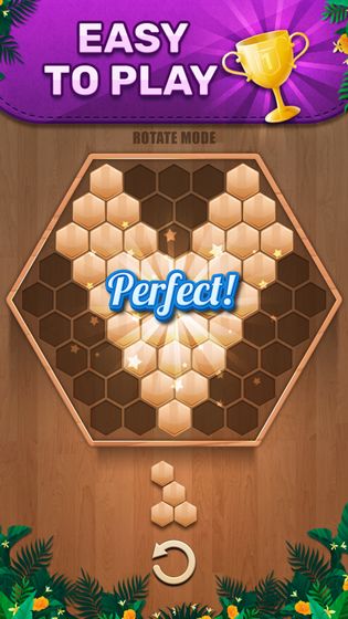 Wooden100Block截图1