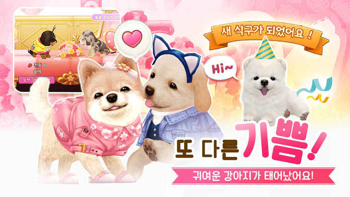 마이프렌즈Dogs截图2