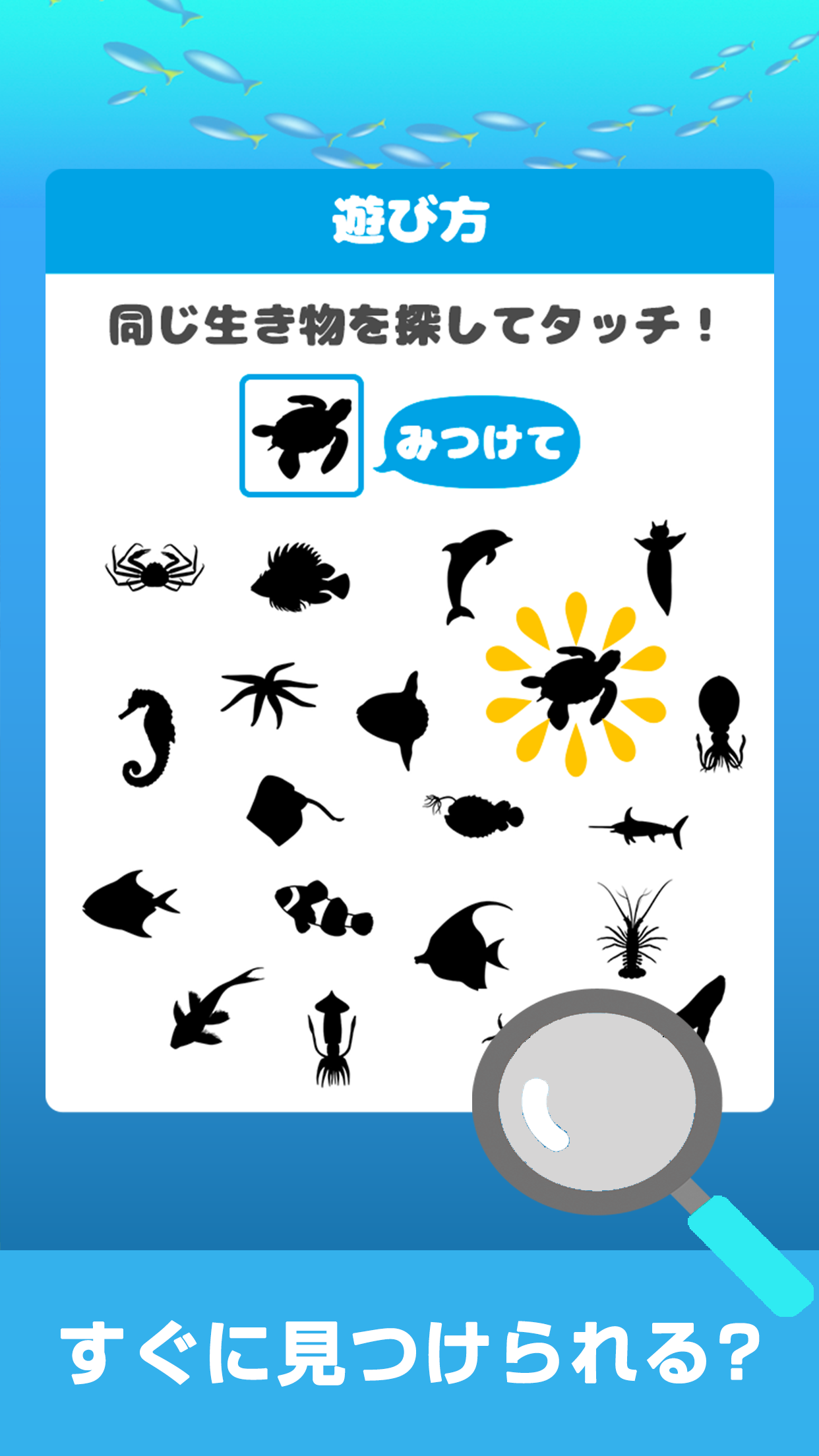 さがして水族馆截图2