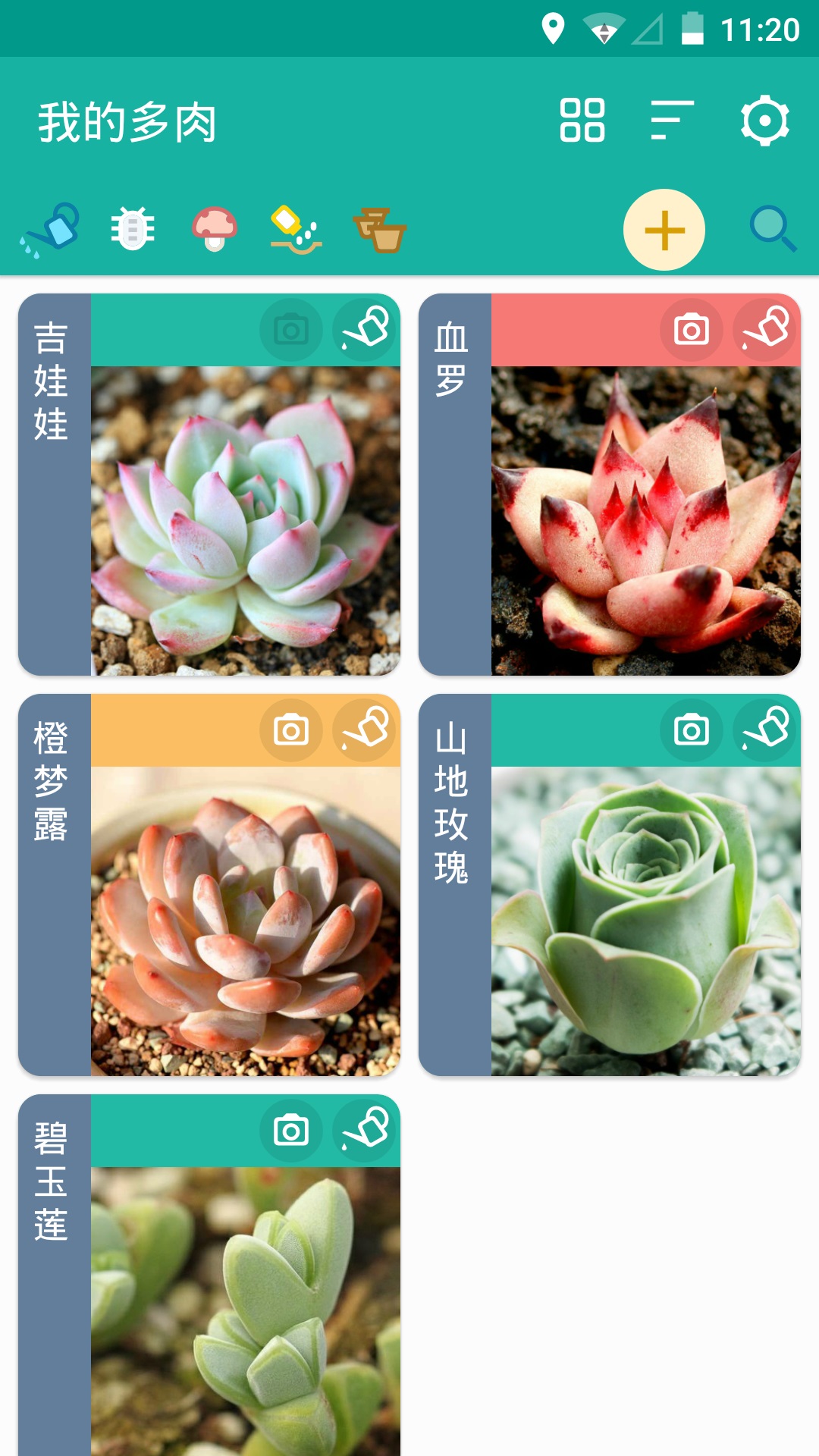 多肉成長(zhǎng)記截圖預(yù)覽