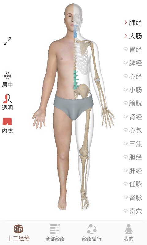 经络穴位3Dv1.0.0截图1