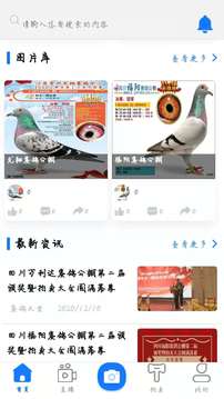 信鴿天堂截圖