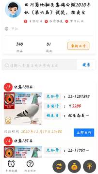 信鴿天堂截圖
