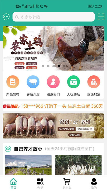 绿通截图1