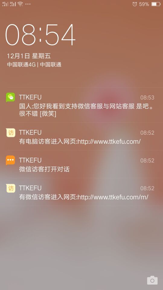 ttkefu在线客服系统v4.2.7截图1