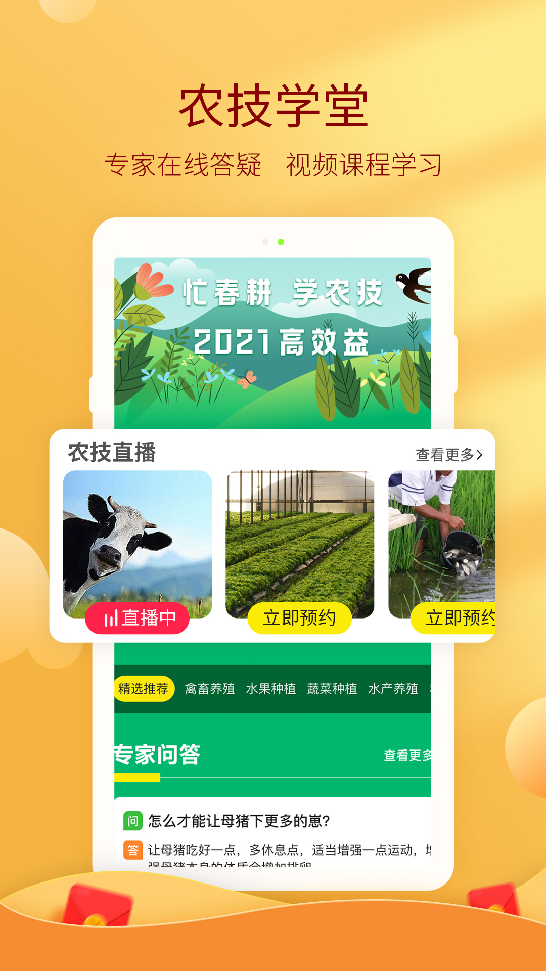 惠農(nóng)網(wǎng)截圖預(yù)覽