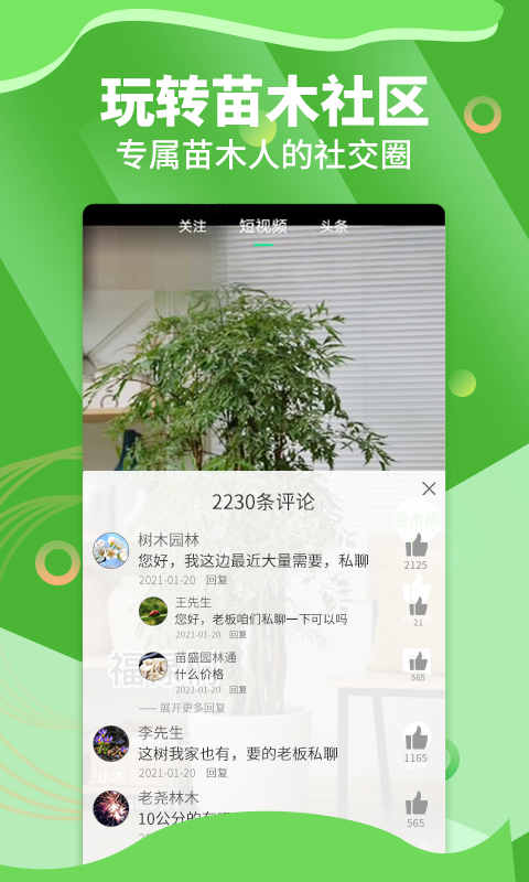 苗木通v5.6.2截图2