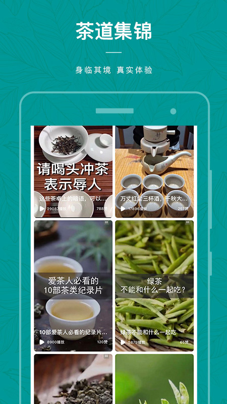 茶物几何截图3