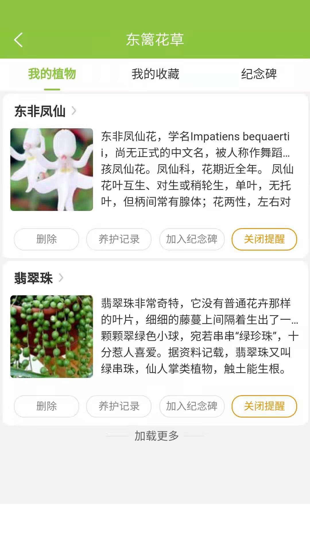 東籬花草截圖預(yù)覽