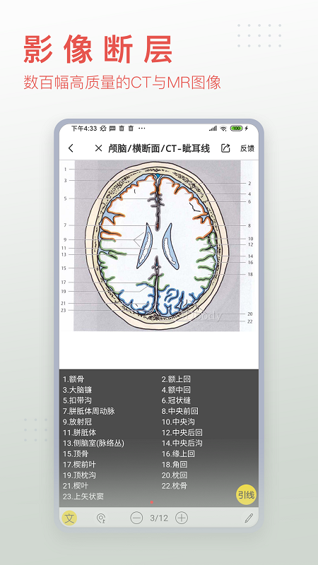 3Dbody解剖v8.5.01截图4