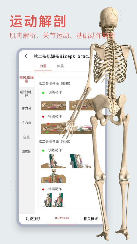 3Dbody解剖v8.5.01截图1