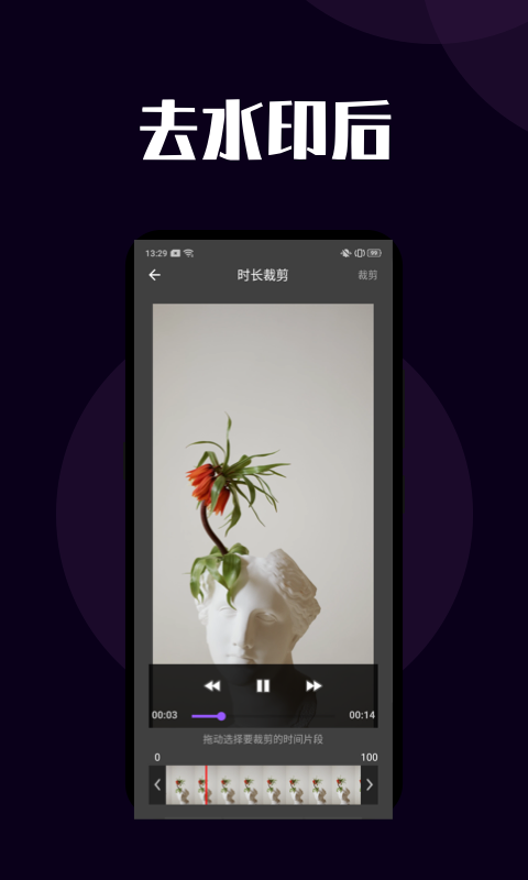 短視頻去水印截圖預覽