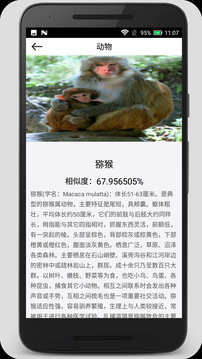 拍照識(shí)物截圖