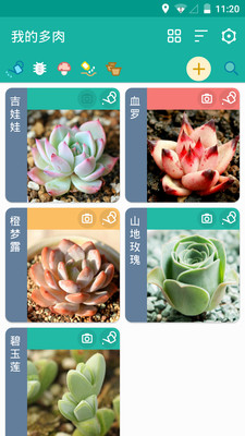 多肉成长记v3.4.7截图1