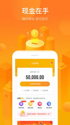 小花錢包截圖預(yù)覽