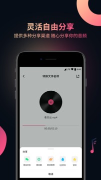 視頻音頻提取器截圖