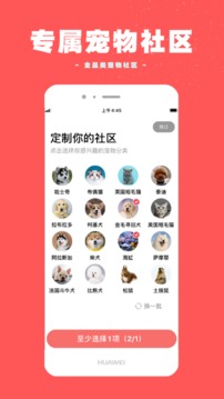 寵物王國(guó)截圖