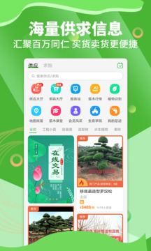 苗木通截圖