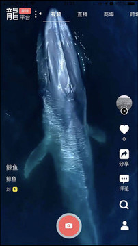 龍平臺影視截圖
