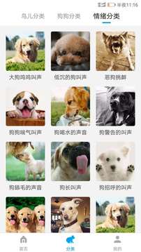 動(dòng)物翻譯器截圖