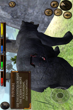 森林狗熊模拟器截图