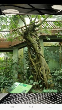 FindAR截圖