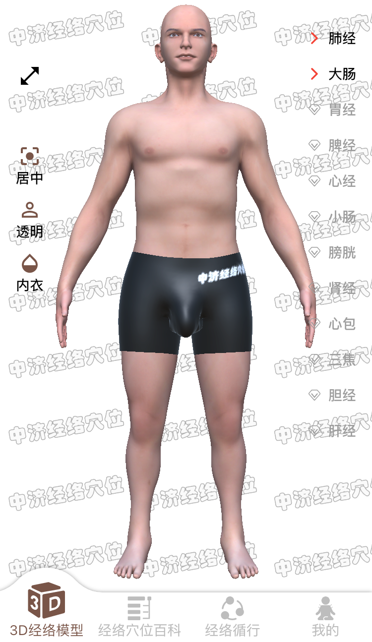 經(jīng)絡(luò)穴位3D截圖預(yù)覽