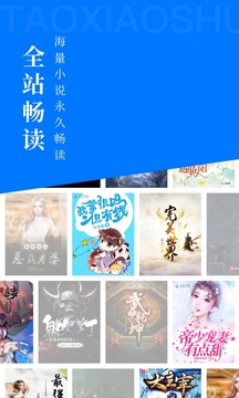 淘小说截图