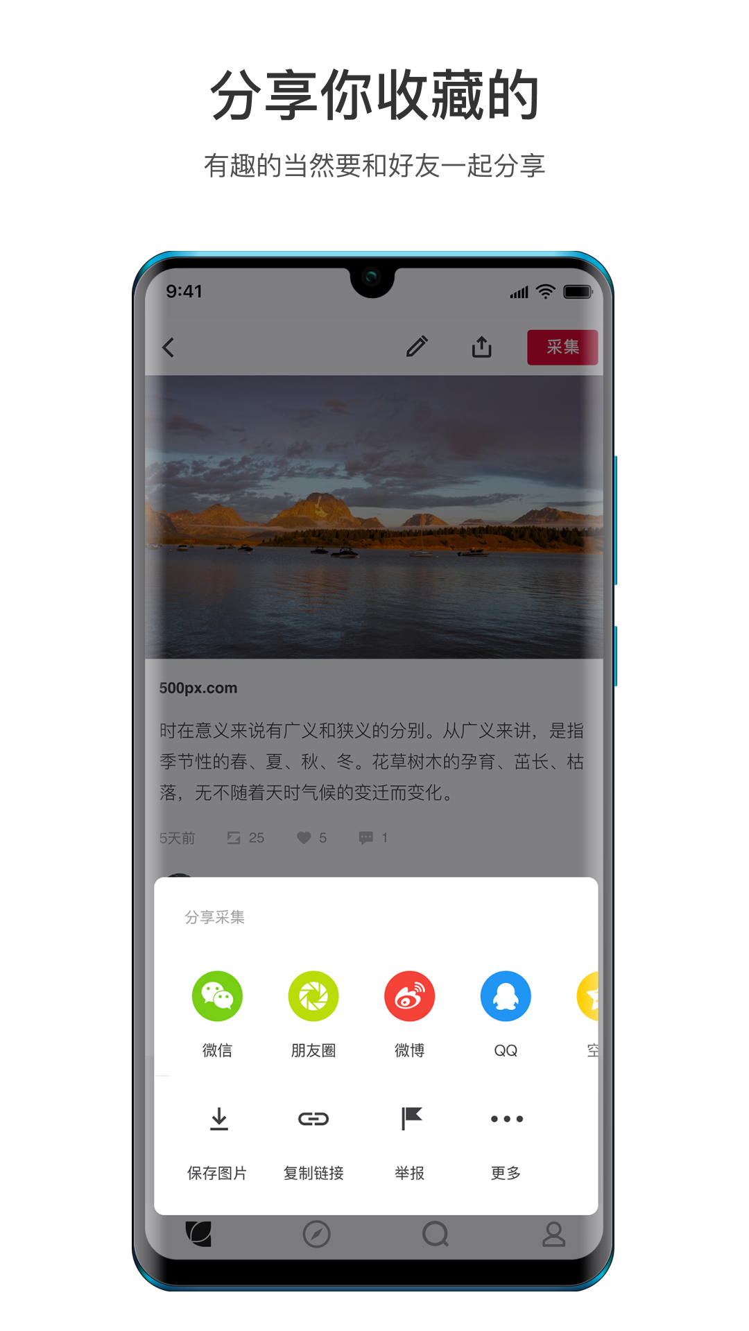 花瓣v4.5.0截图2