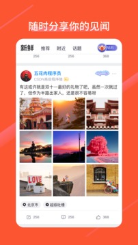 CSDN截圖