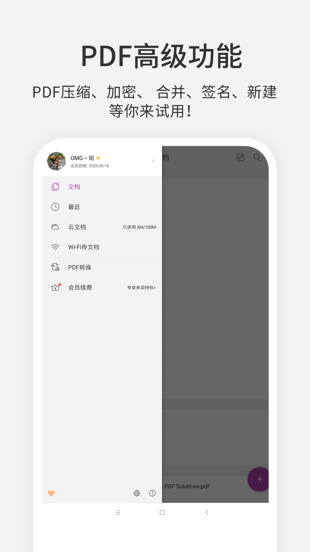 福昕PDF编辑器v4.2.33061截图5