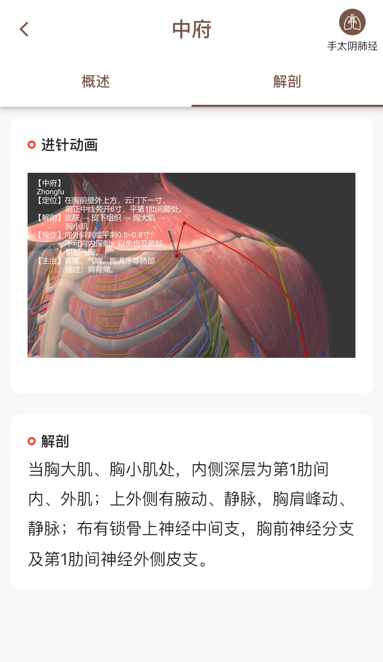 经络穴位3Dv2.1.0截图4