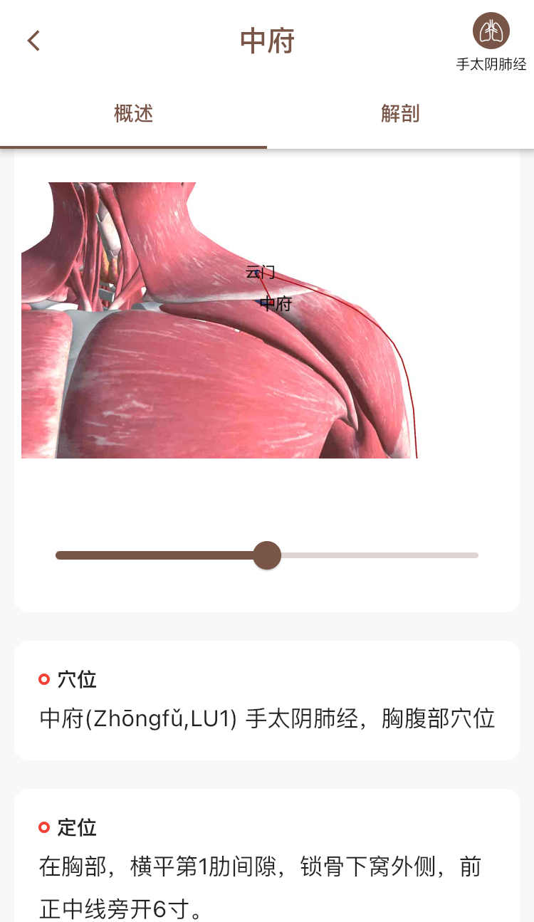 经络穴位3Dv2.1.0截图3